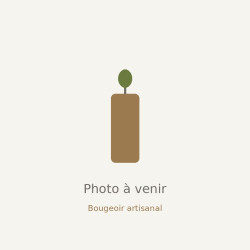 Bougeoir en bois flotté — 5 bougies