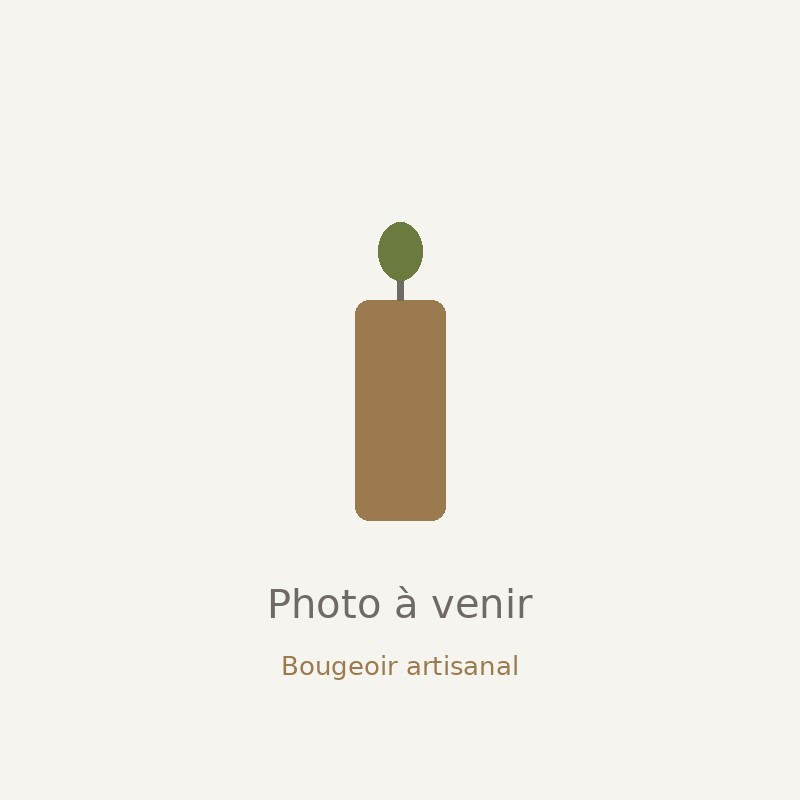 Bougeoir en bois flotté — 5 bougies